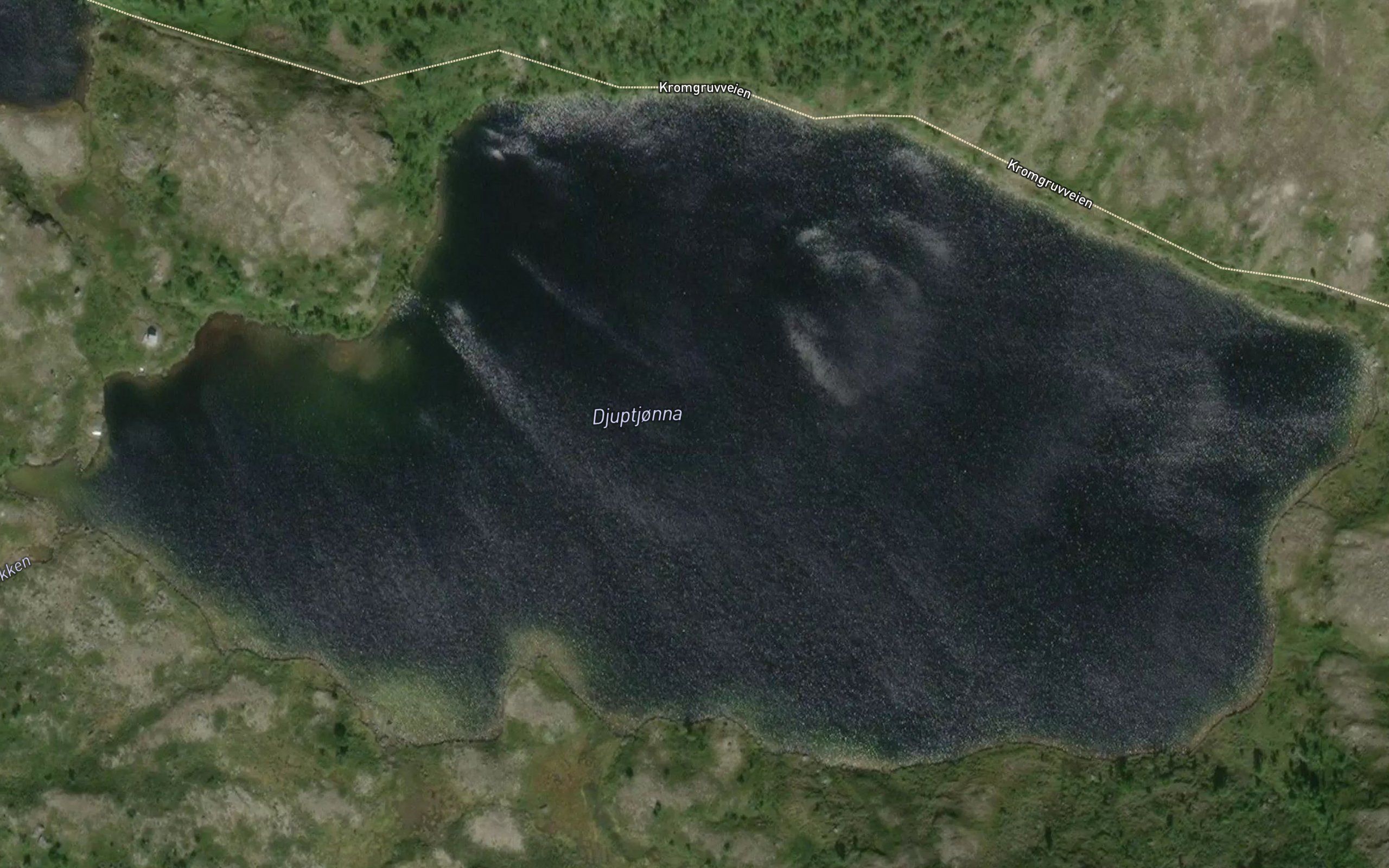 Djupskardtjonna