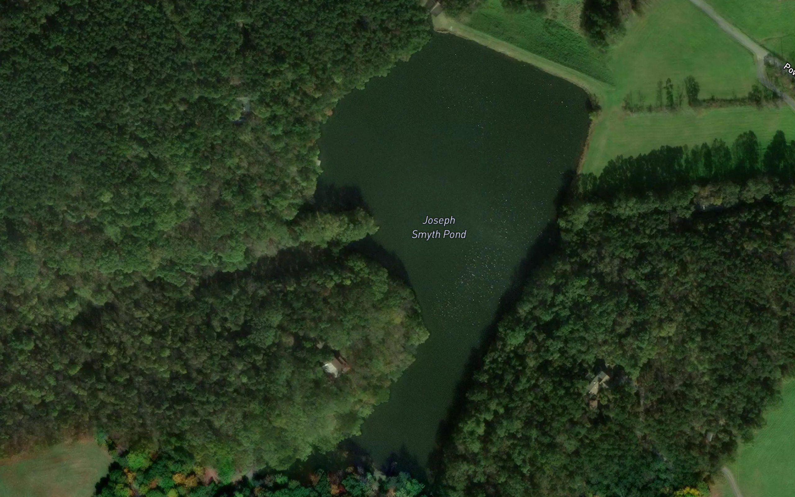 Lake Francis