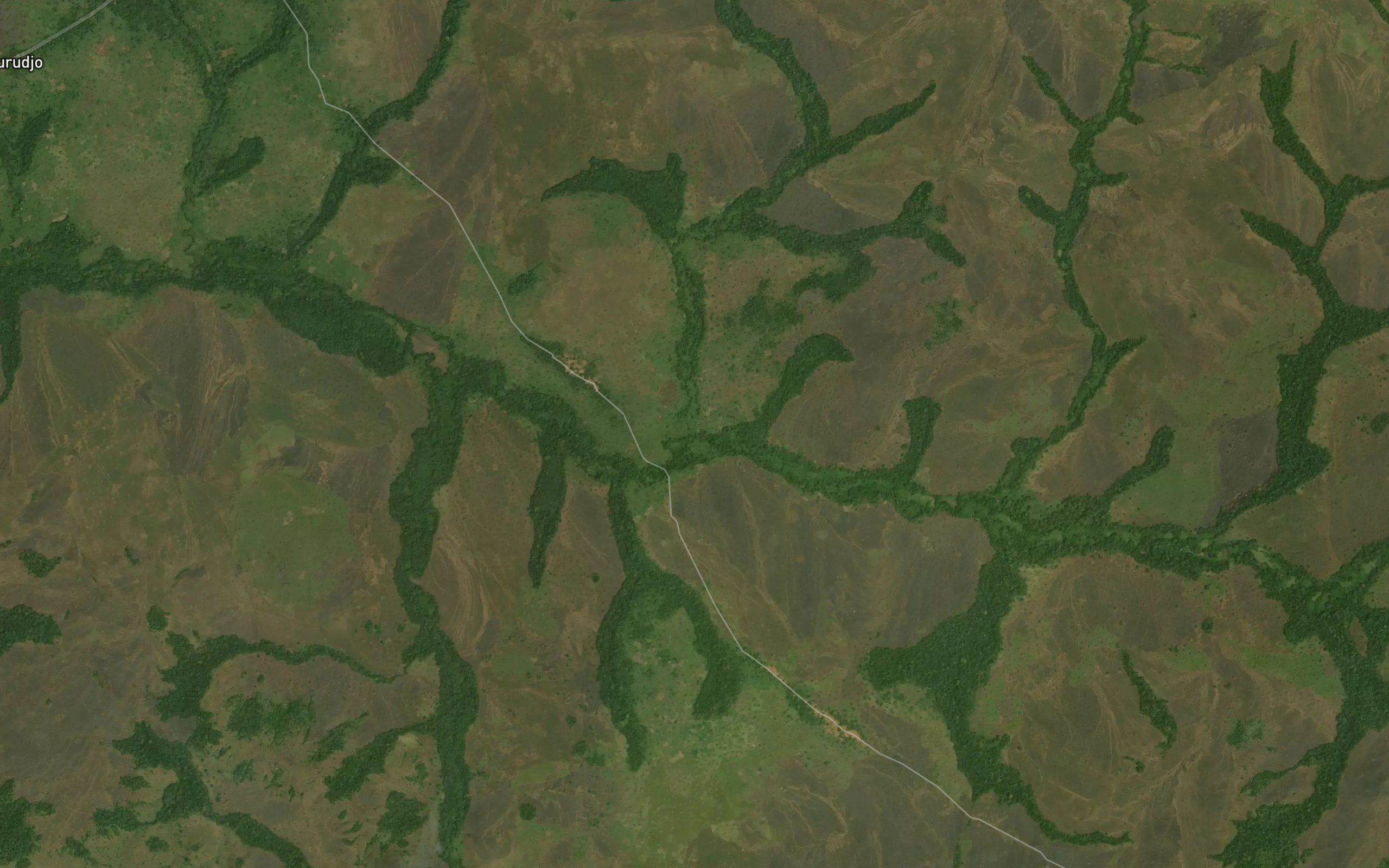Wangi