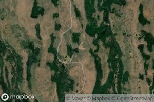 Pine Basin Spring