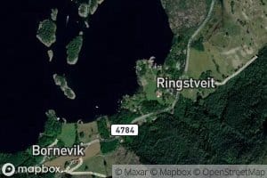 Smidjevika
