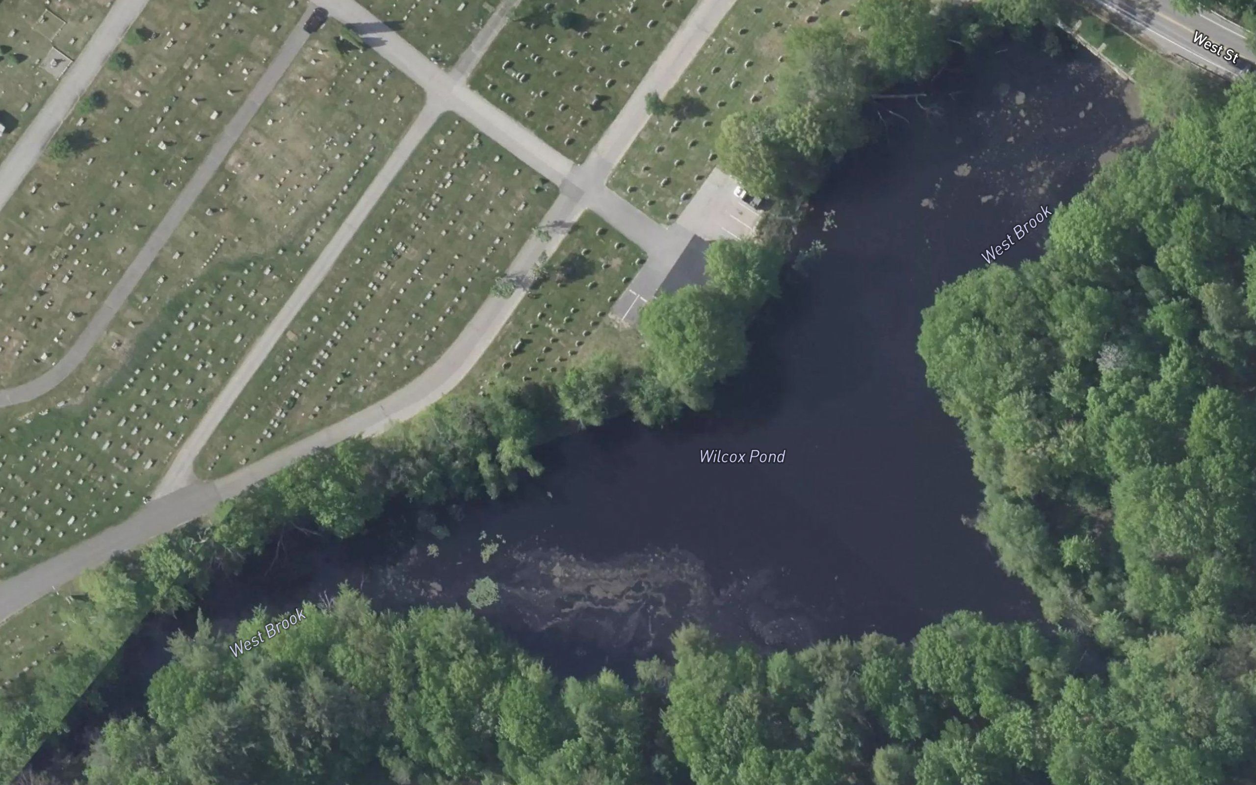Wilcox Pond