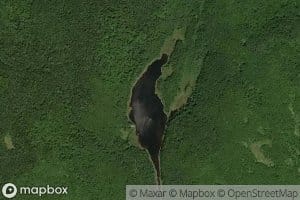 Lac Parrot