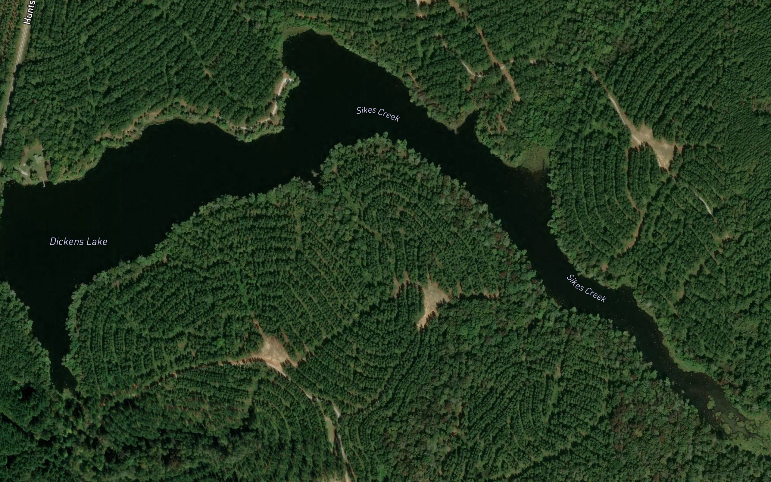 Dickens Lake