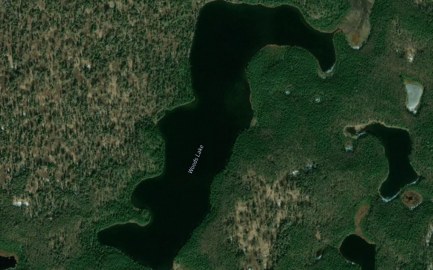 Satellite map of the Woods Lake