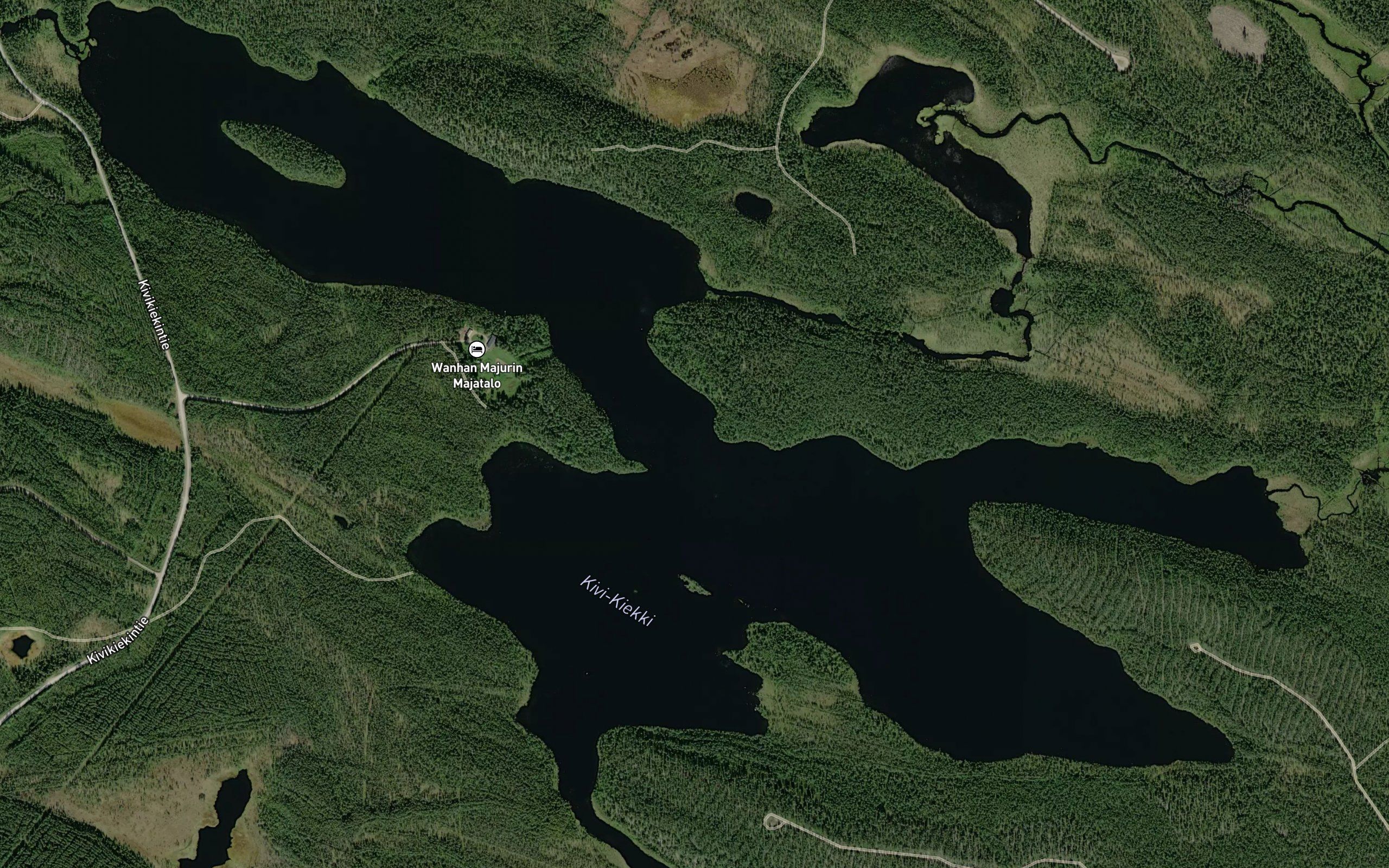 Kivikiekki