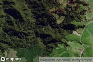 Tauwhatawhata Stream