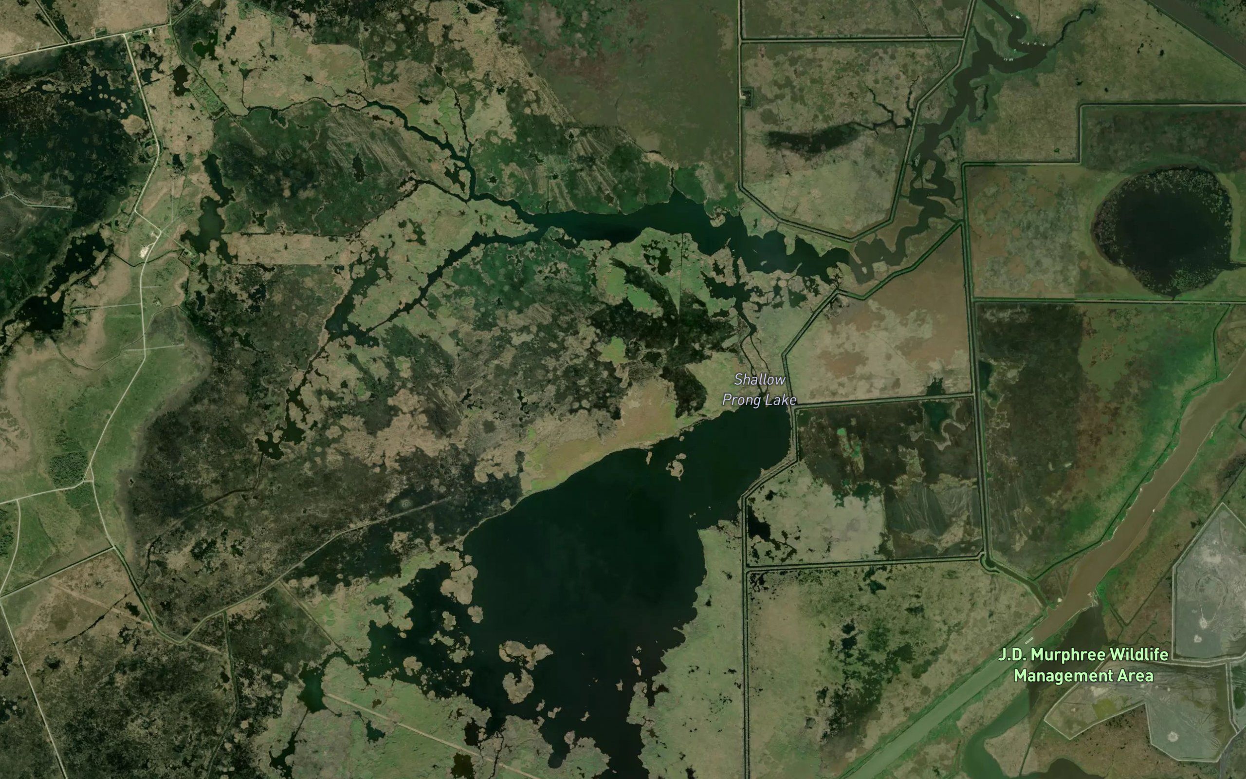 Shallow Prong Lake