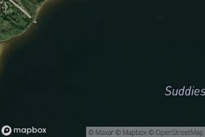 Suddesjaure