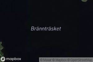 Braenntraesket