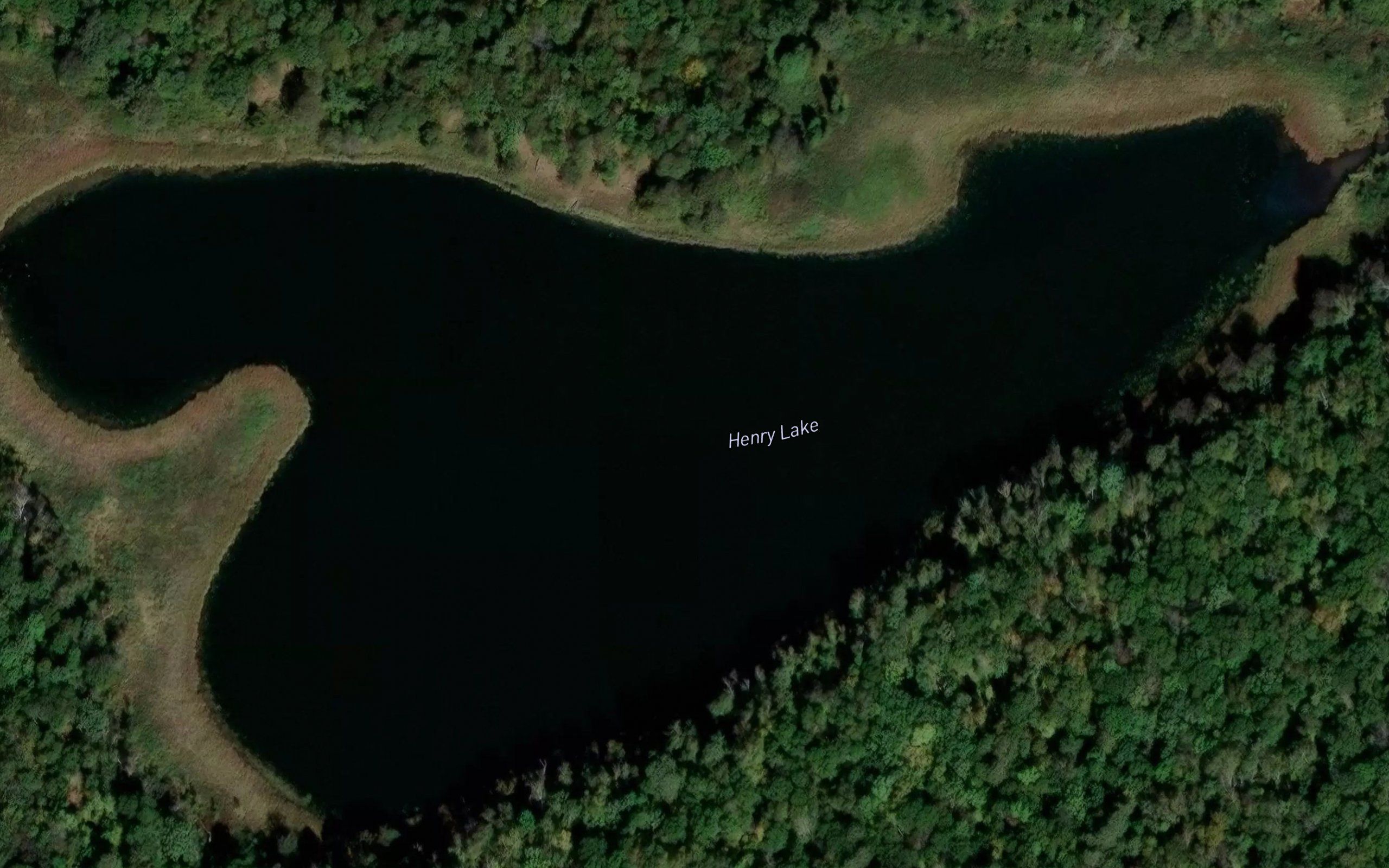 Henry Lake