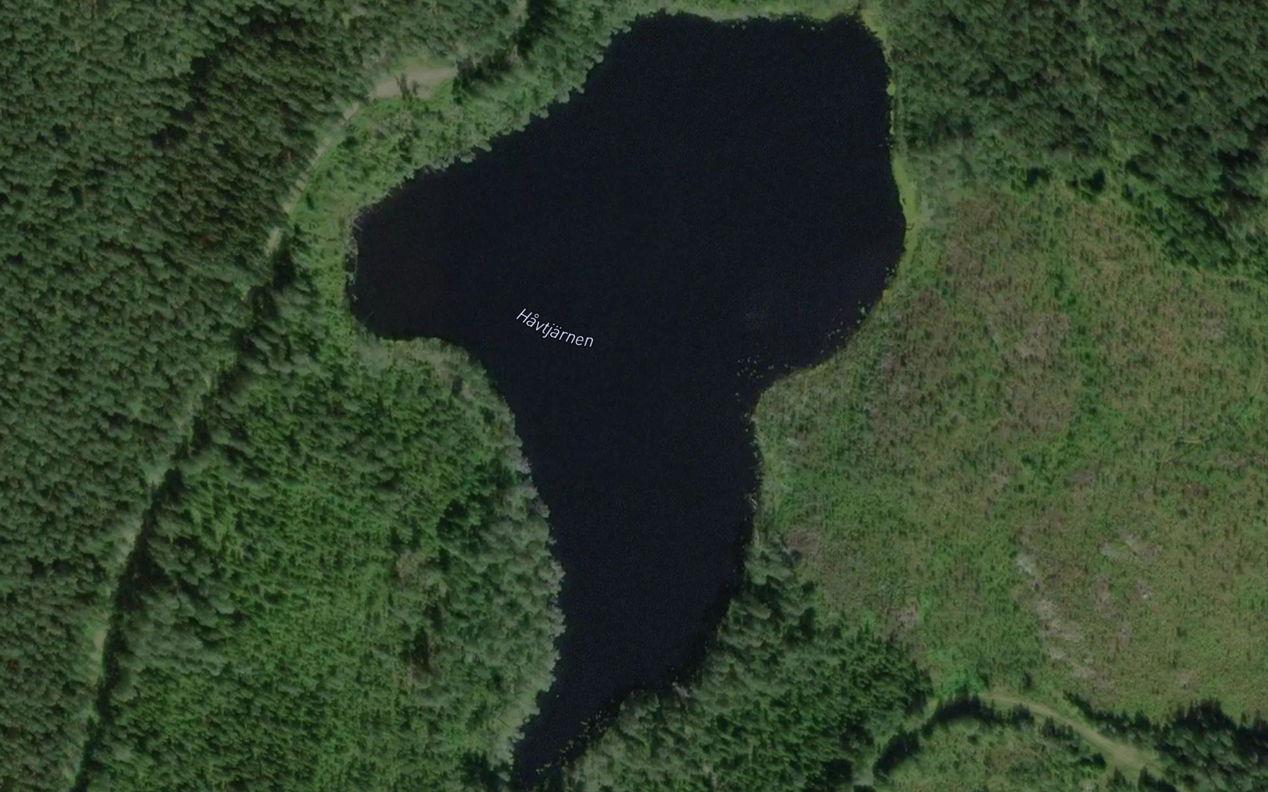 Hovtjarn