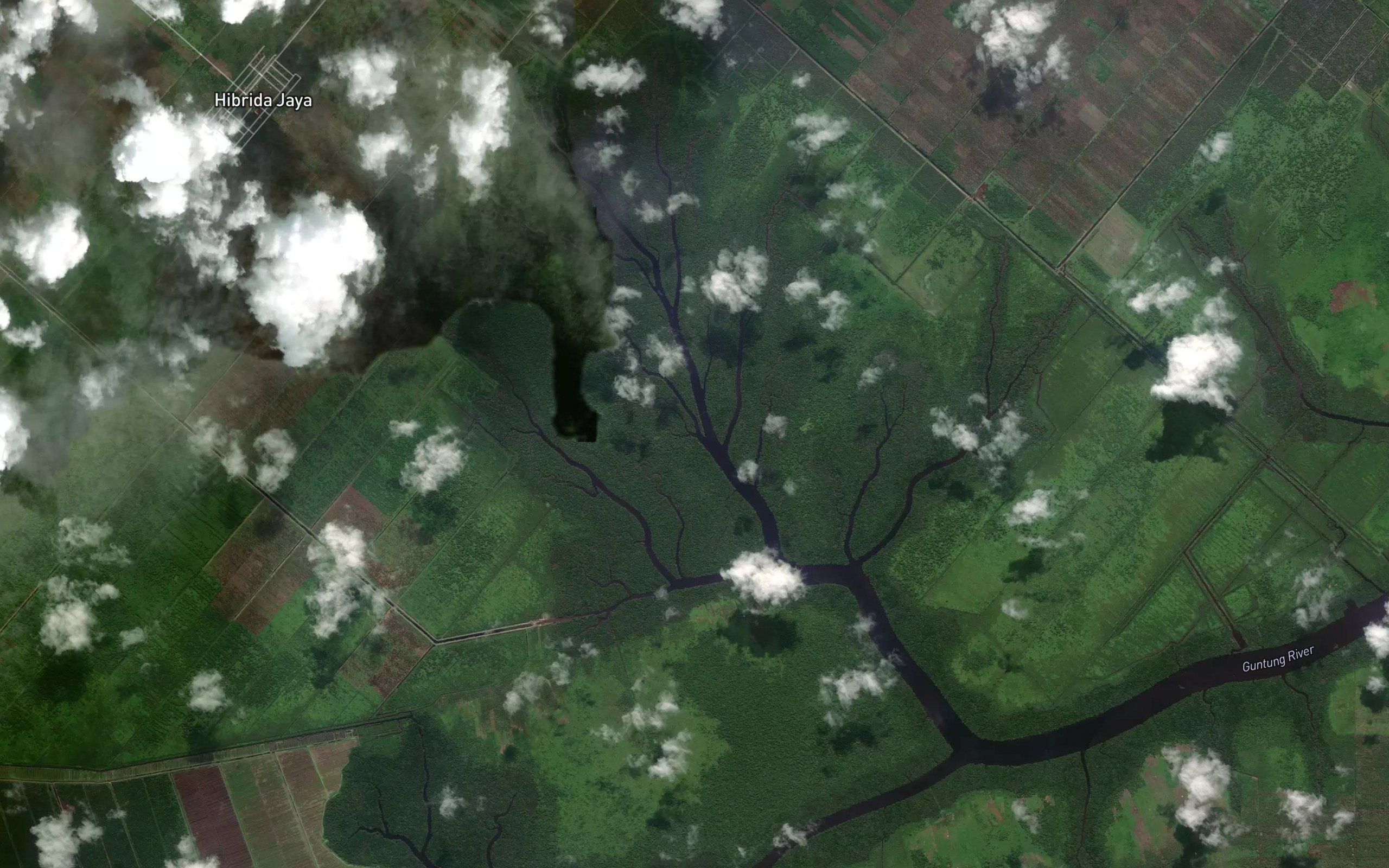 Sungai Saka Busung