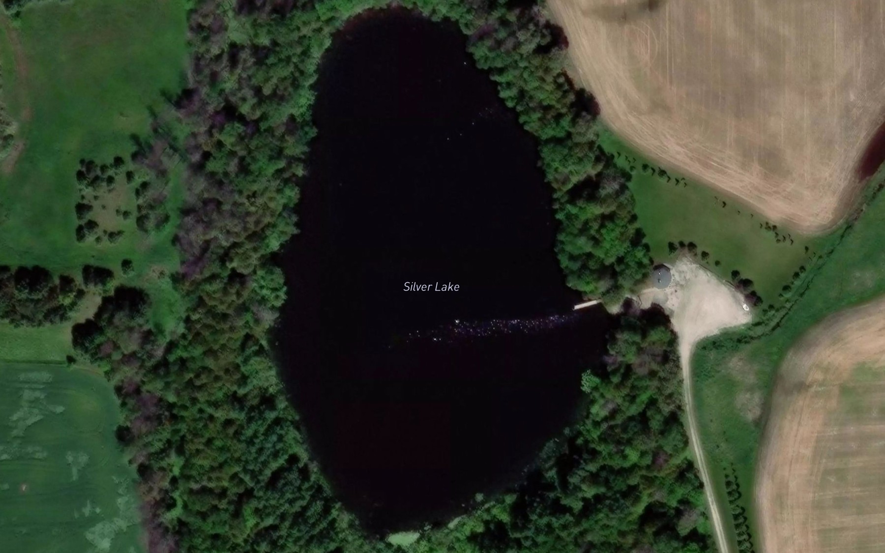 Satellite map of the Silver Lake