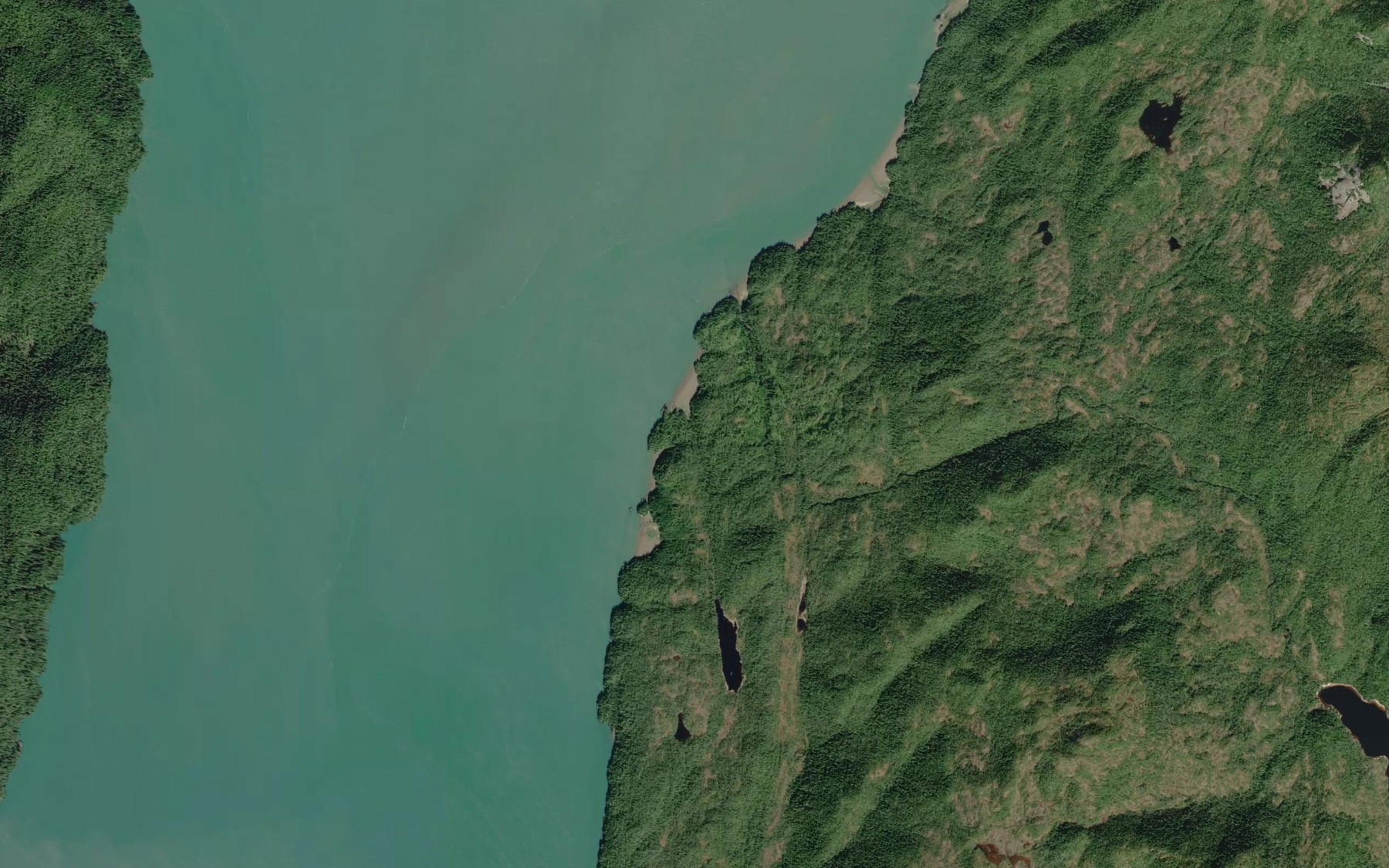 Satellite map of the Carlisle Creek