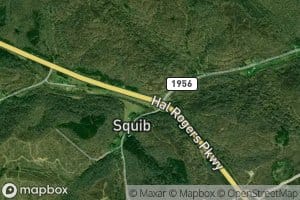 Sugar Camp Branch