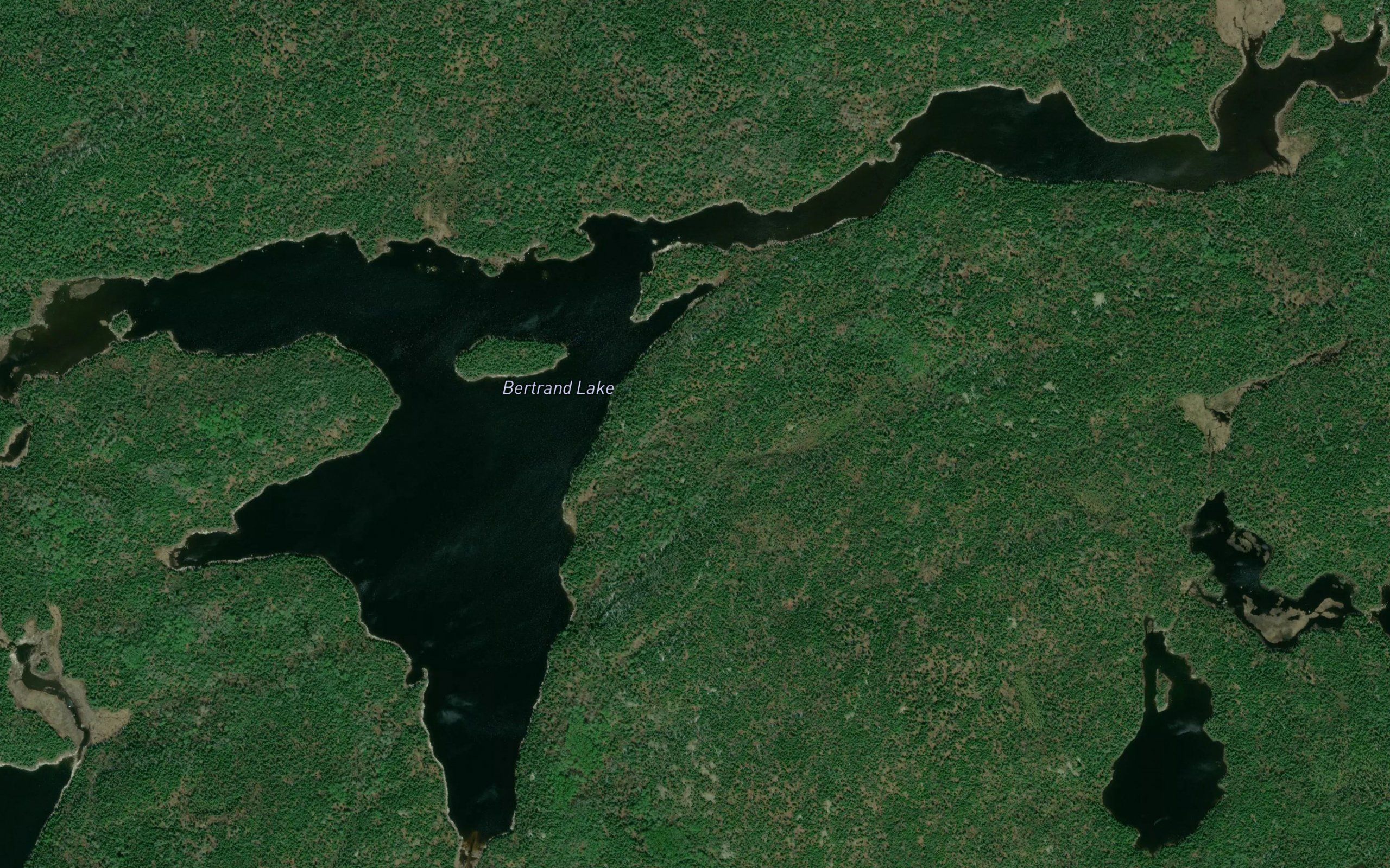 Bertrand Lake