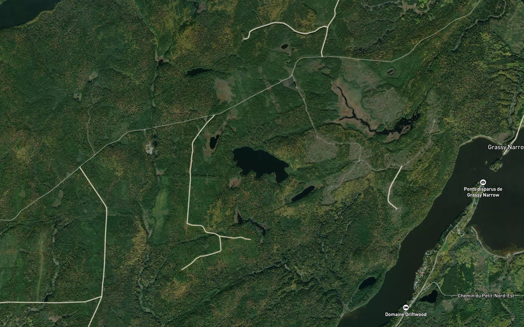 Satellite map of the Lac Lion