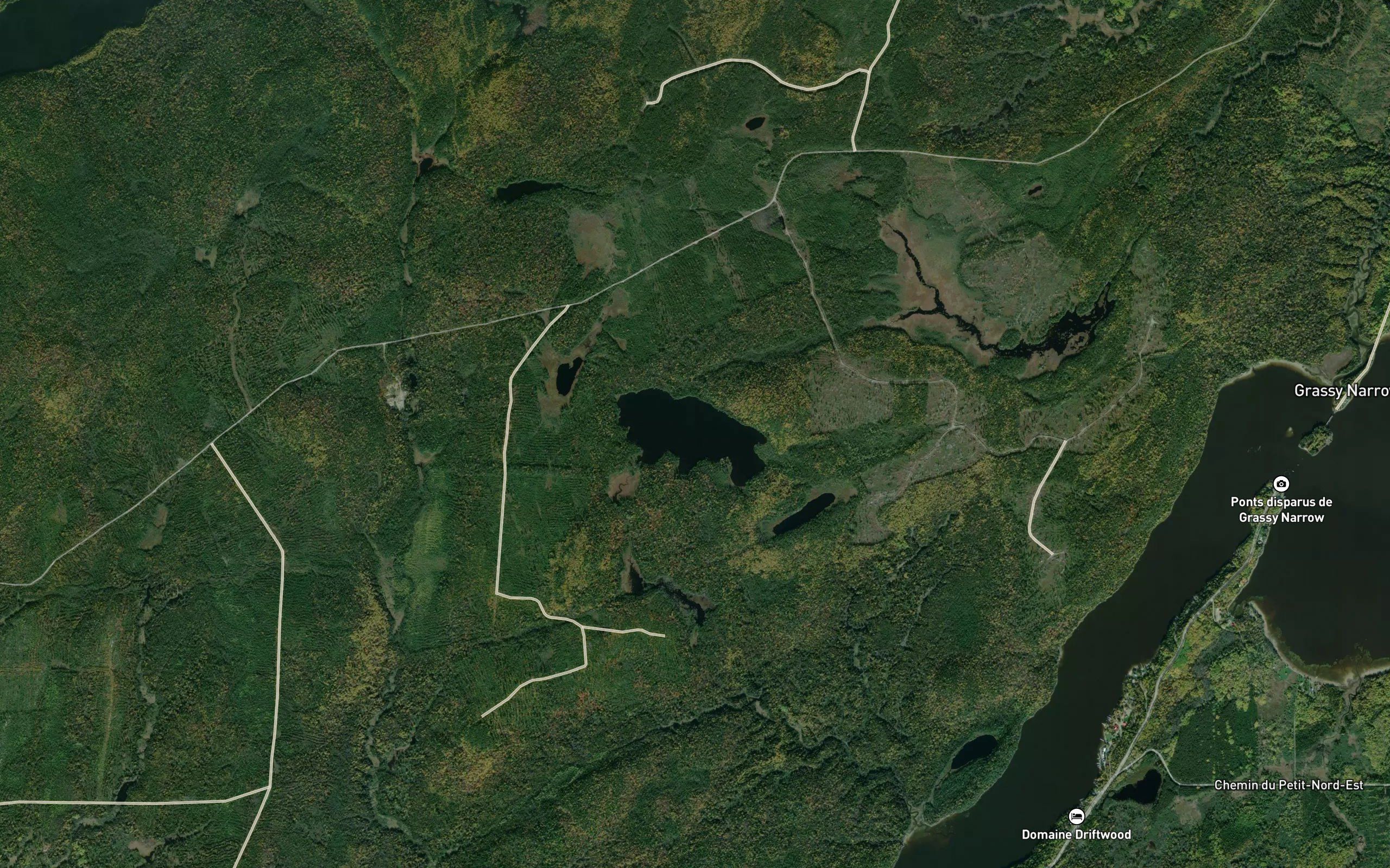Lac Lion