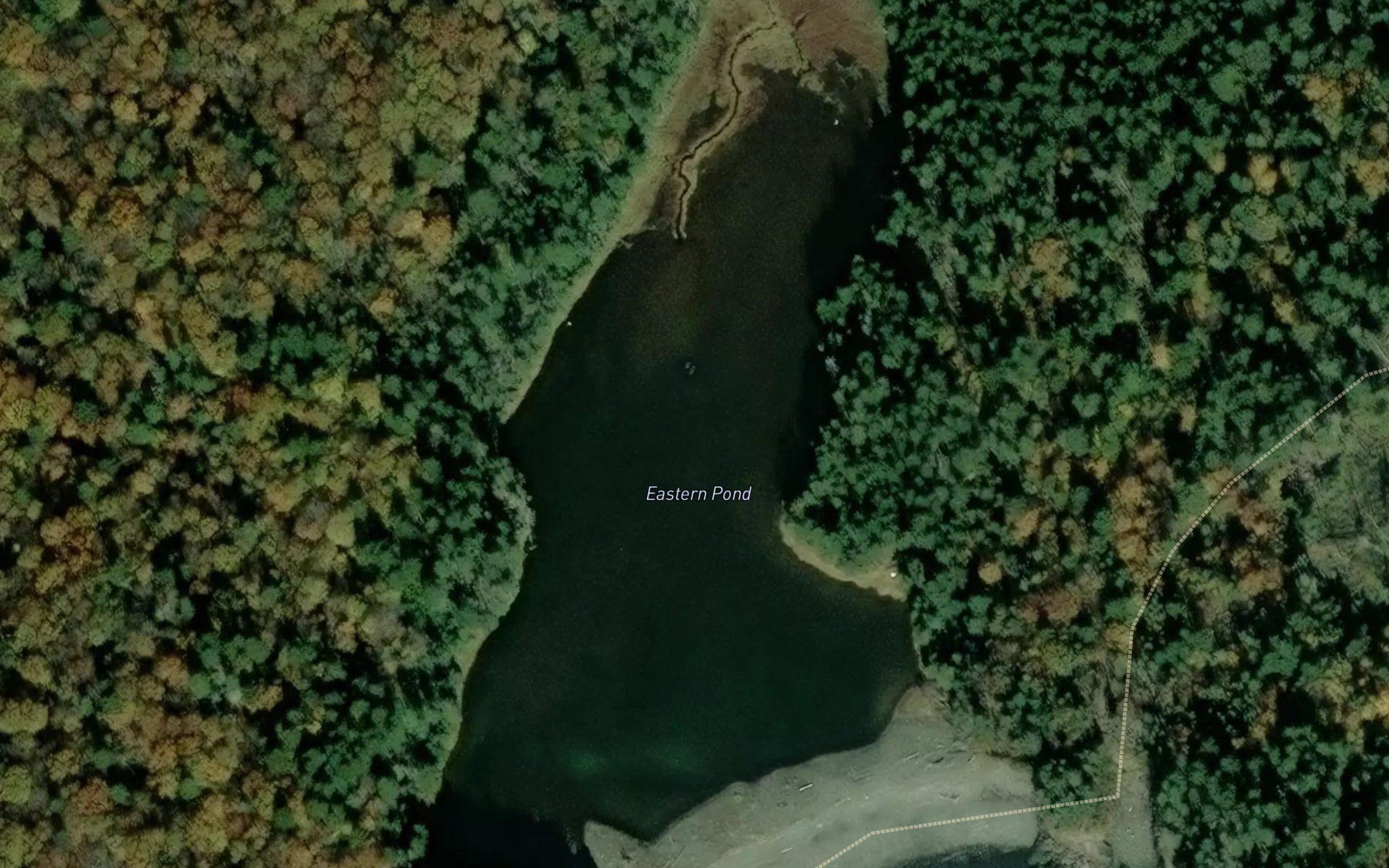 Eastern Pond