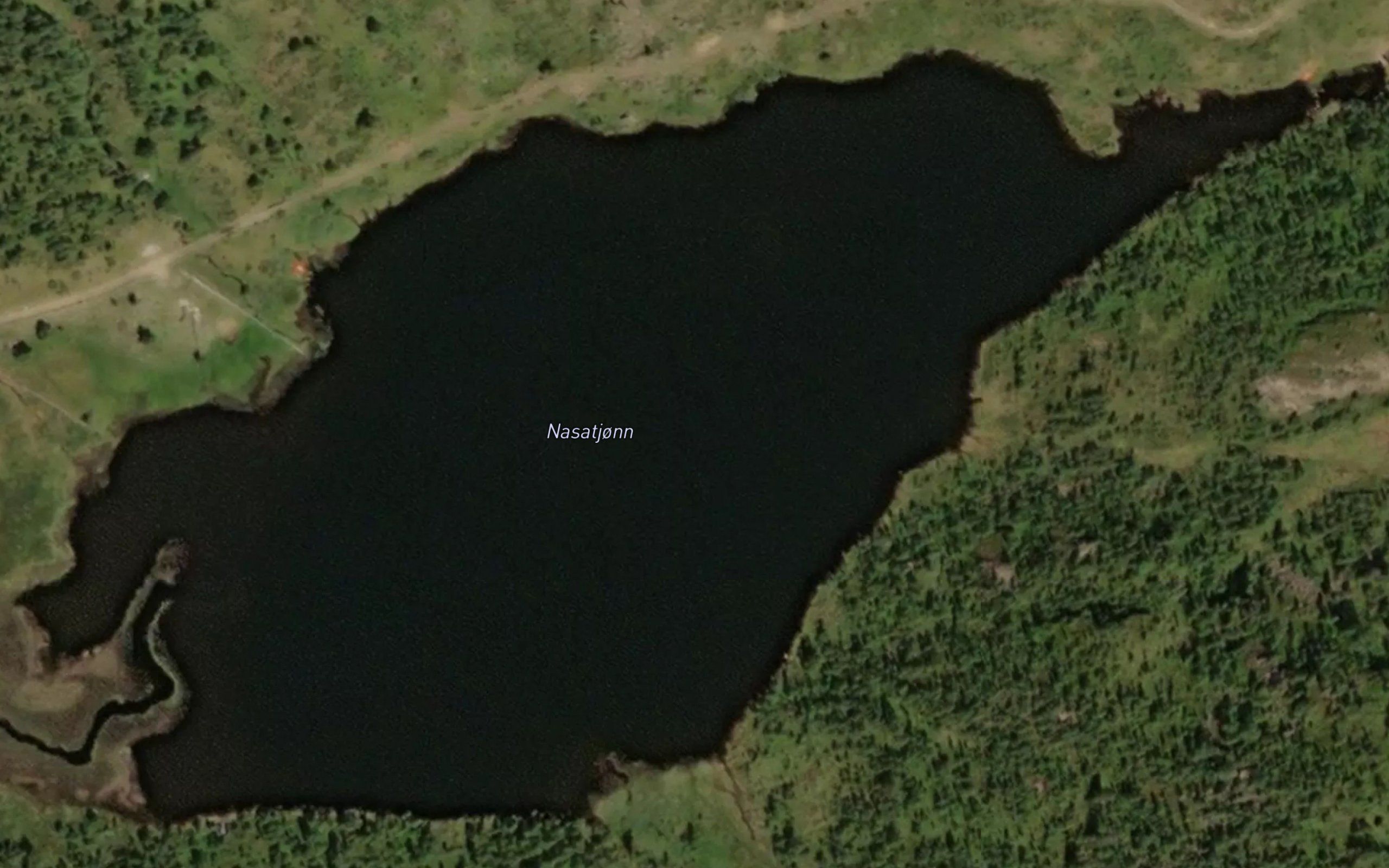 Nasatjonn