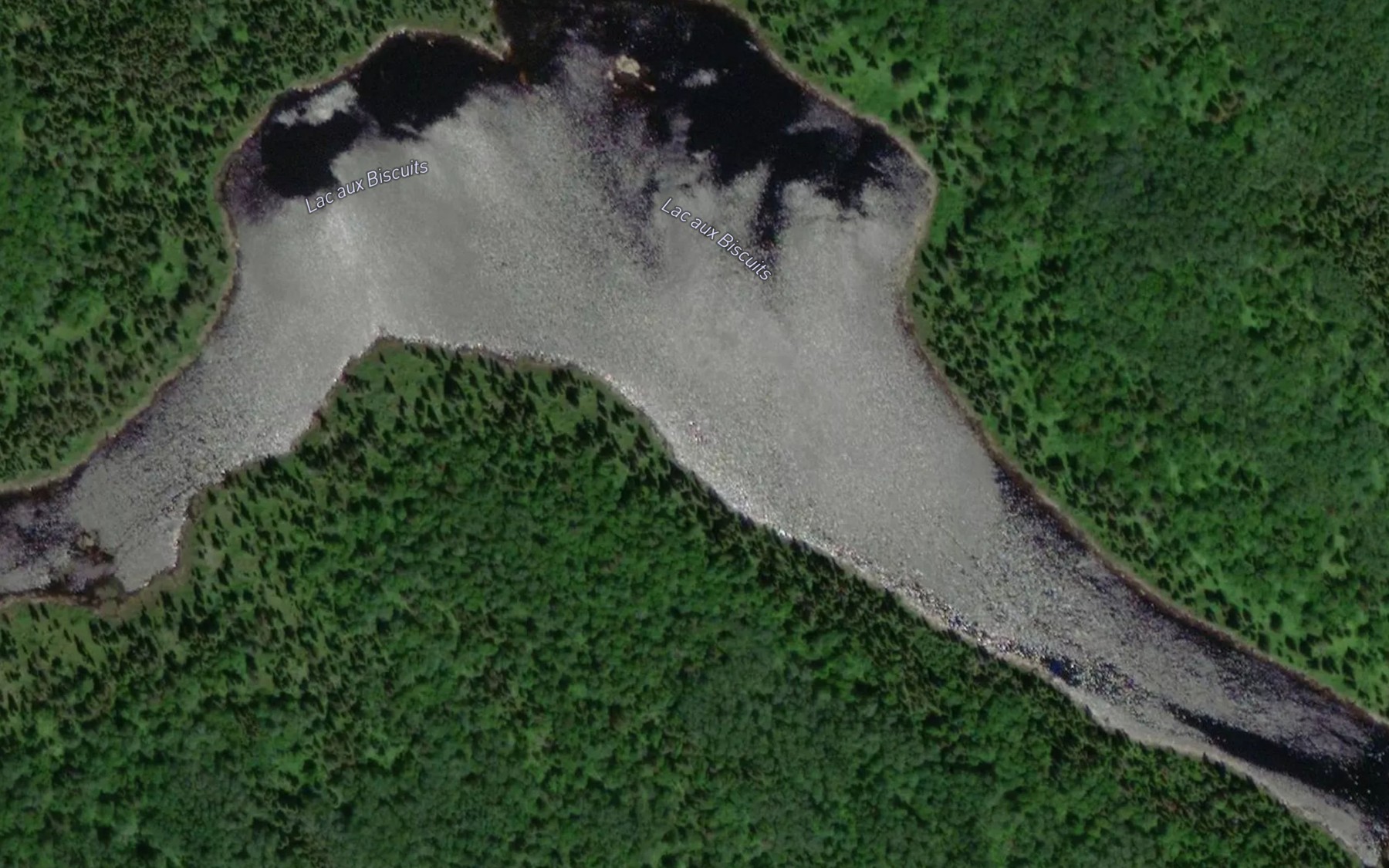 Satellite map of the Lac aux Biscuits