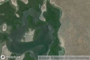 Estero San Carlos Viejo