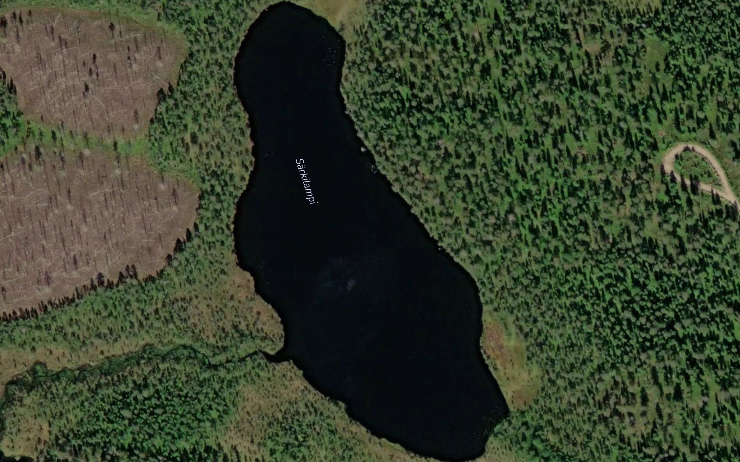 Sarkilampi