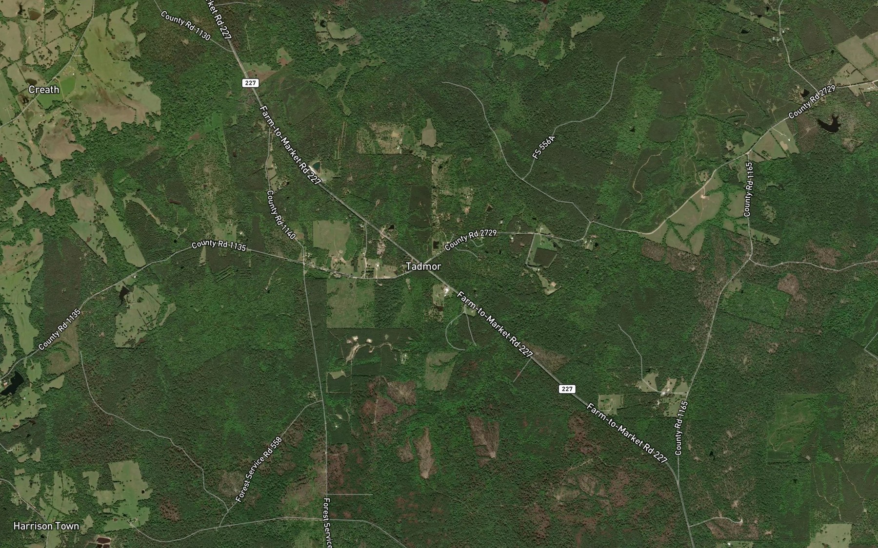 Satellite map of the Wallace Springs