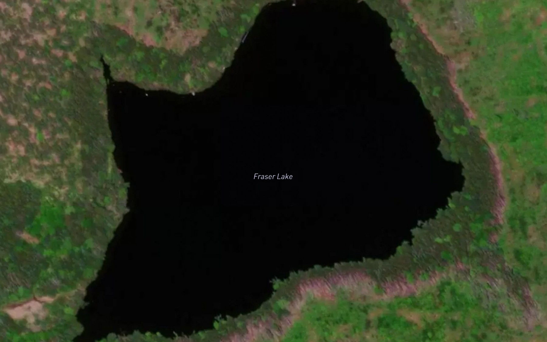 Satellite map of the Fraser Lake