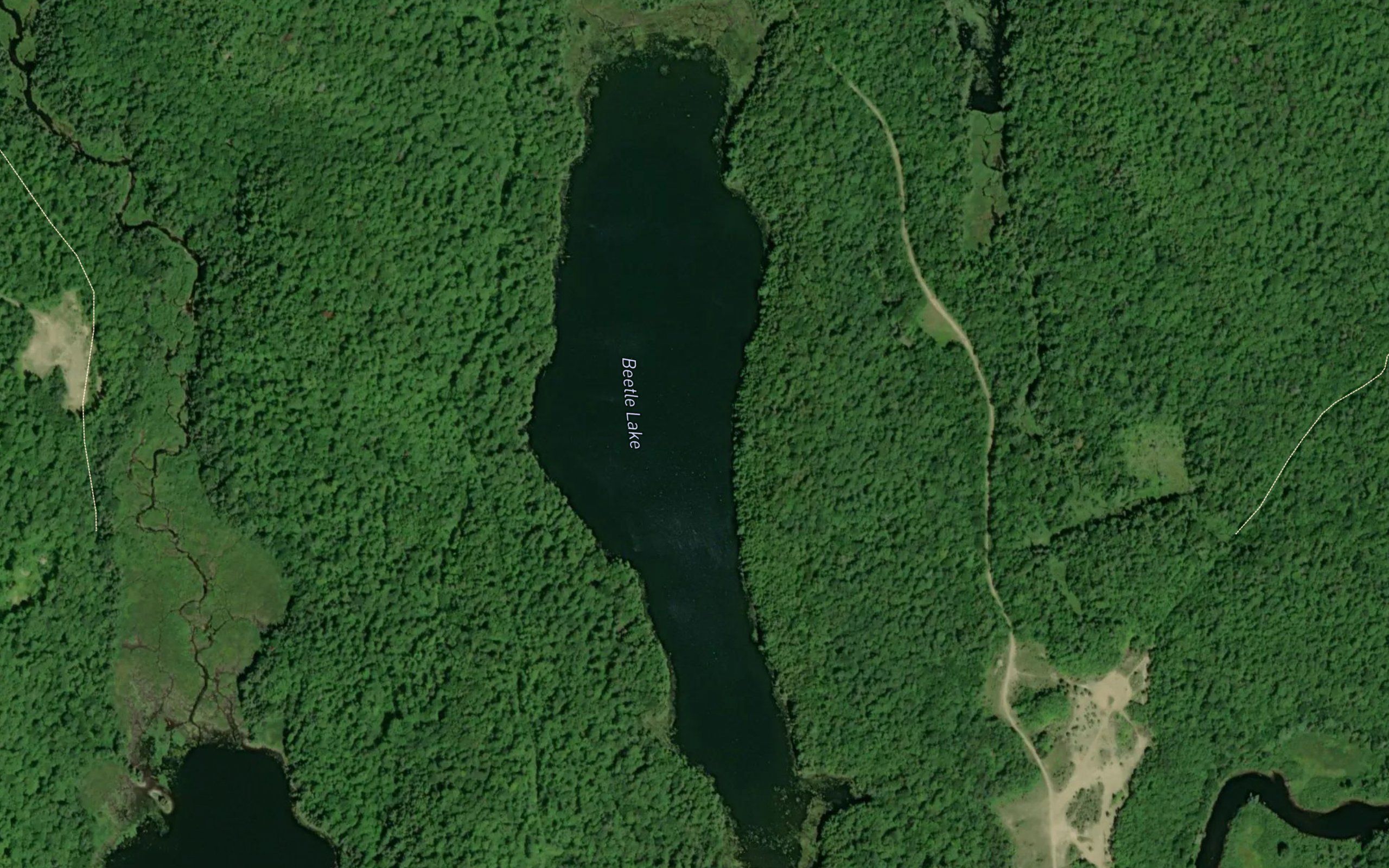 Beetle Lake