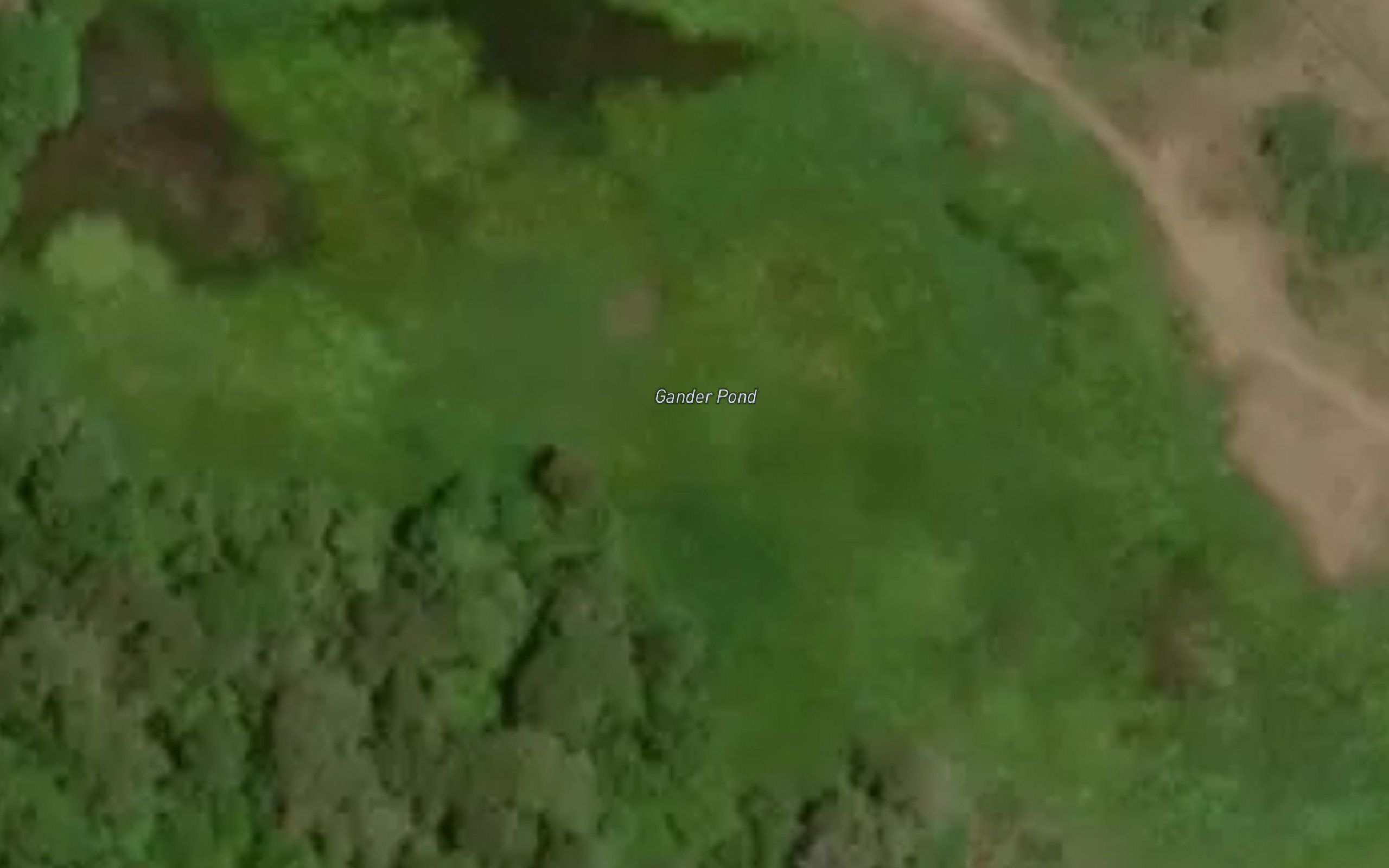 Gander Pond
