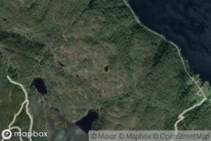 Lomtjorn