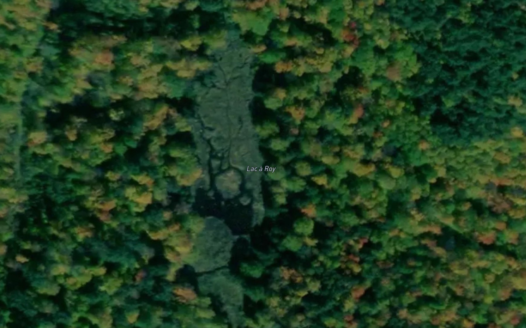 Satellite map of the Lac a Roy