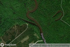 Apple Orchard Slough