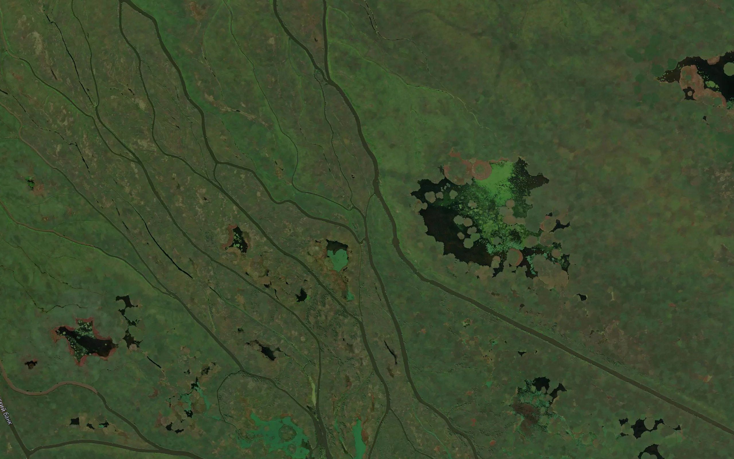 Kulagina
