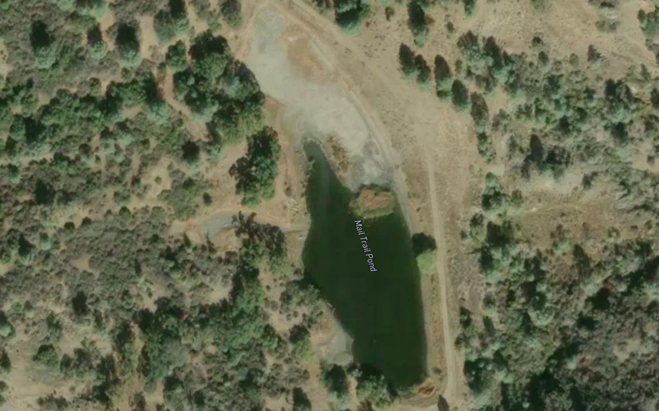 Mail Trail Pond