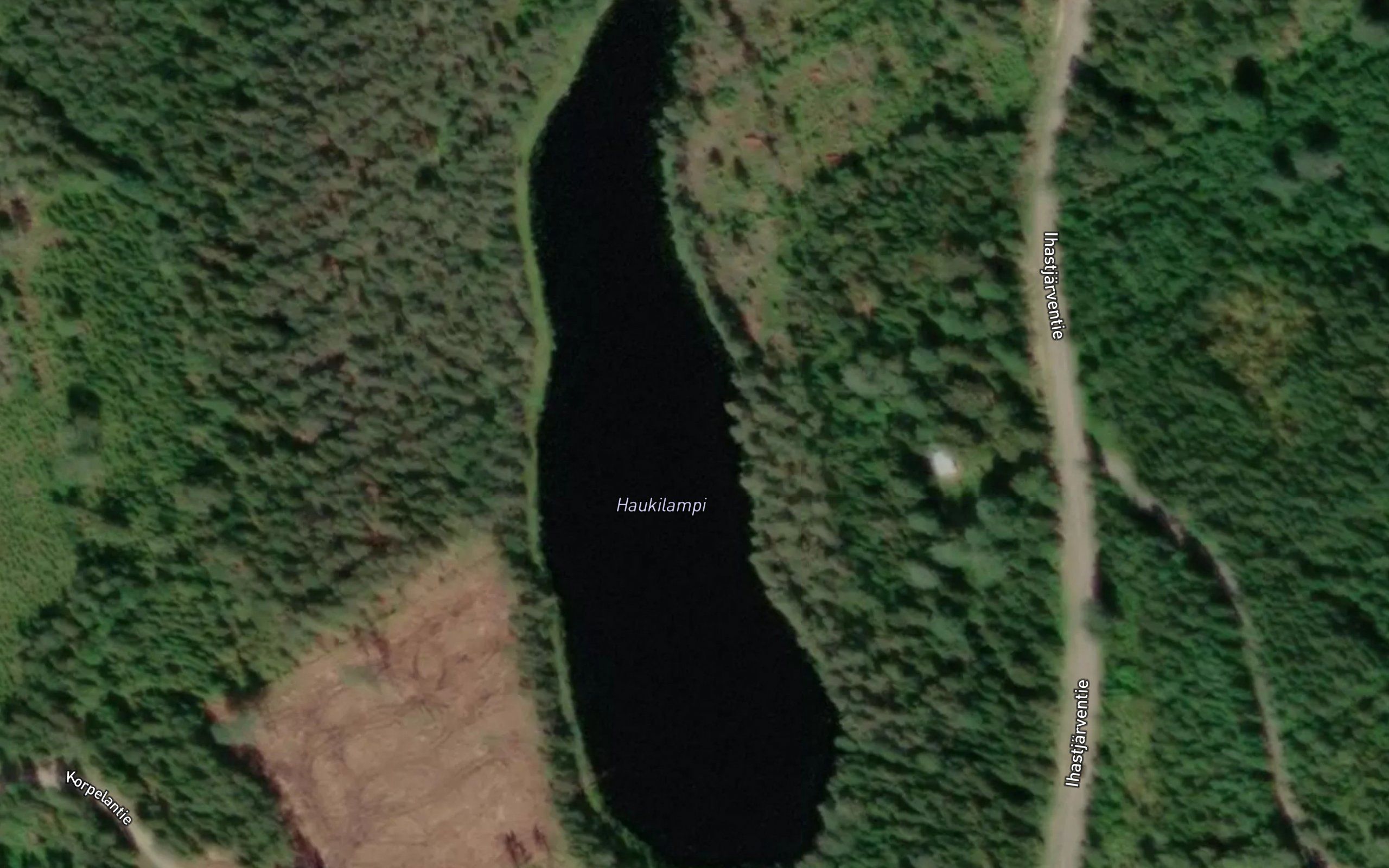 Haukilampi