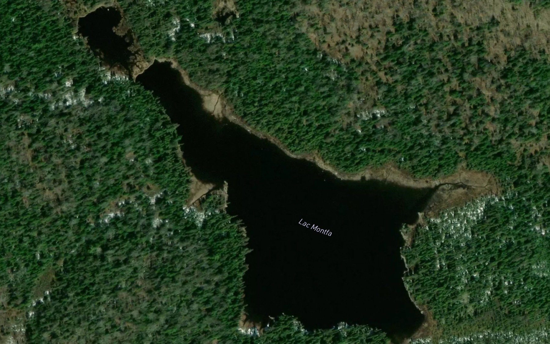 Satellite map of the Lac Montfa