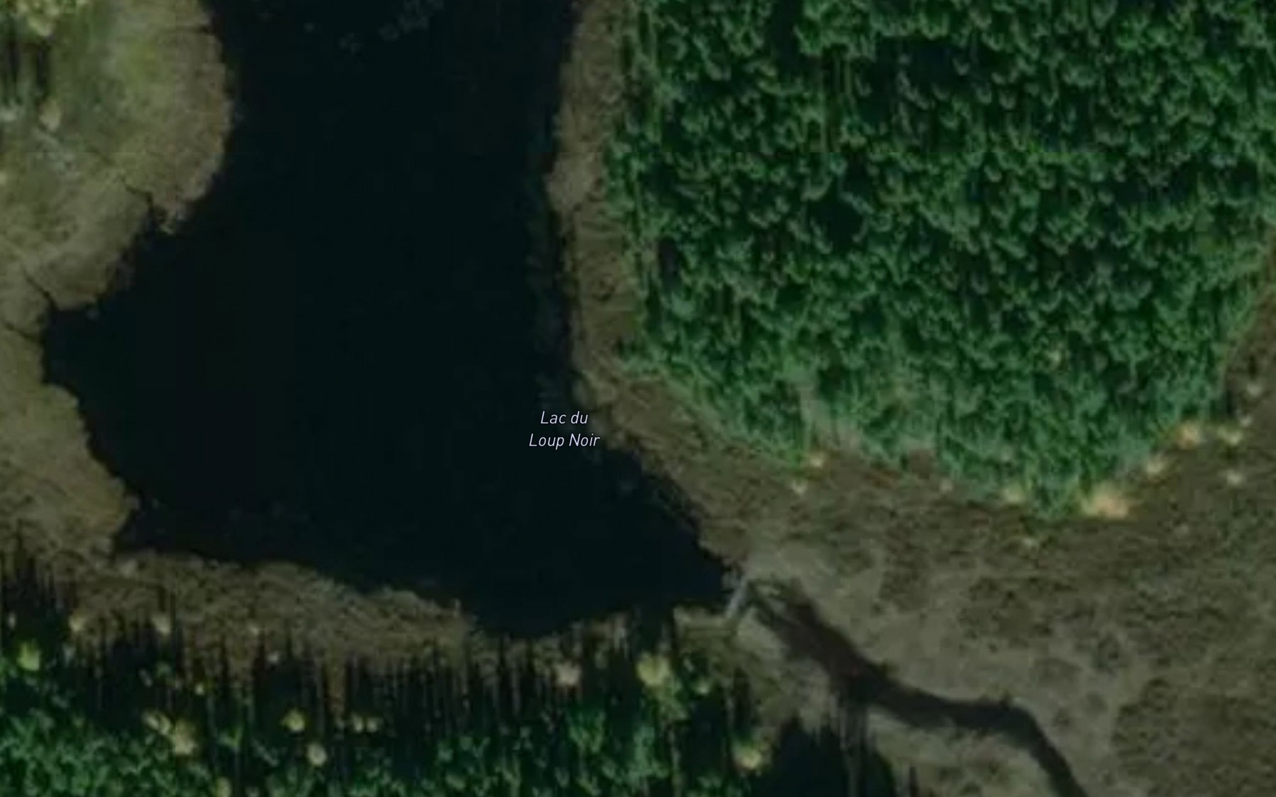 Satellite map of the Lac du Loup Noir