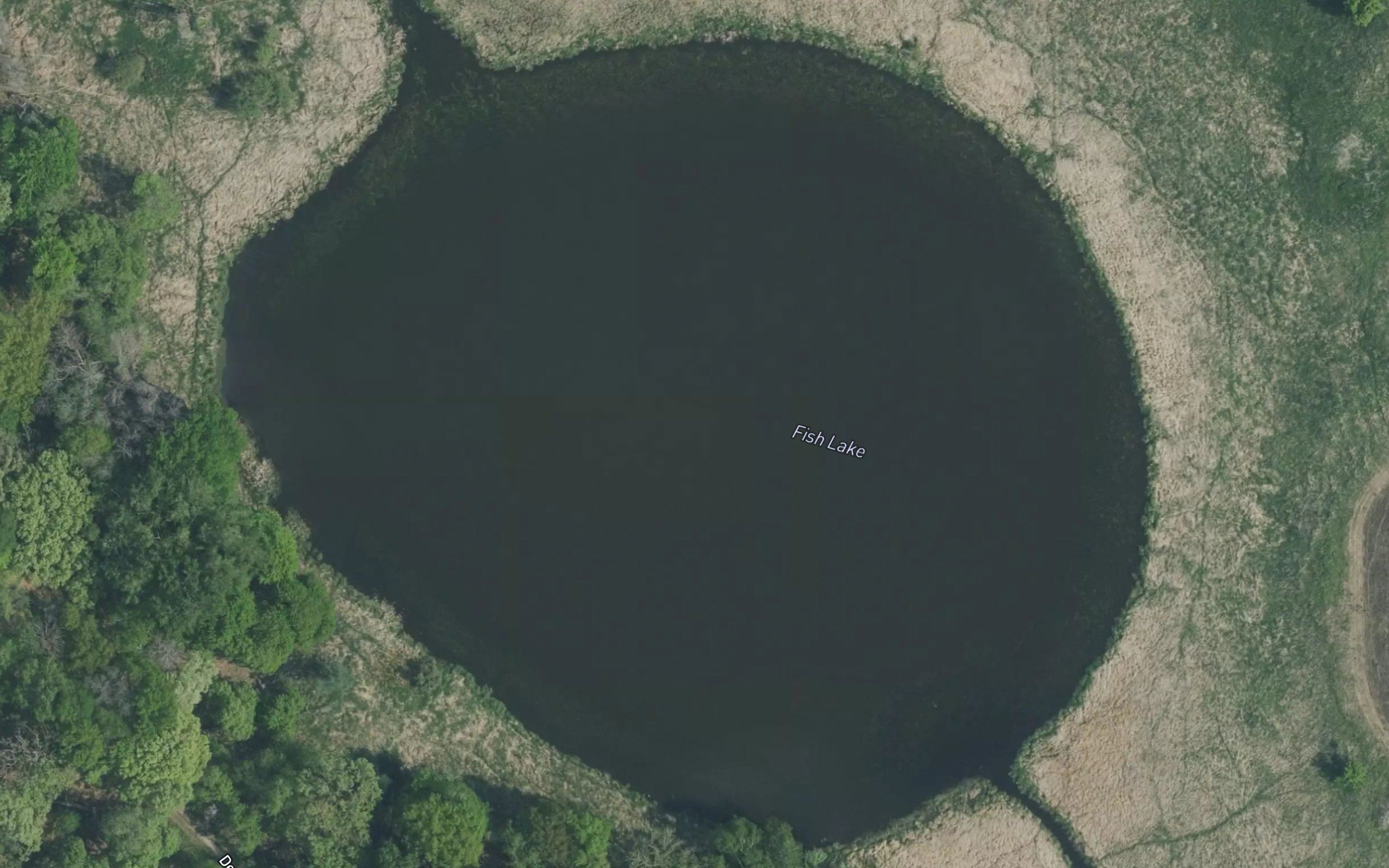 Tamarack Lake