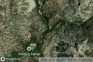 Golden Trout Creek