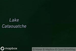 Lake Cataouatche