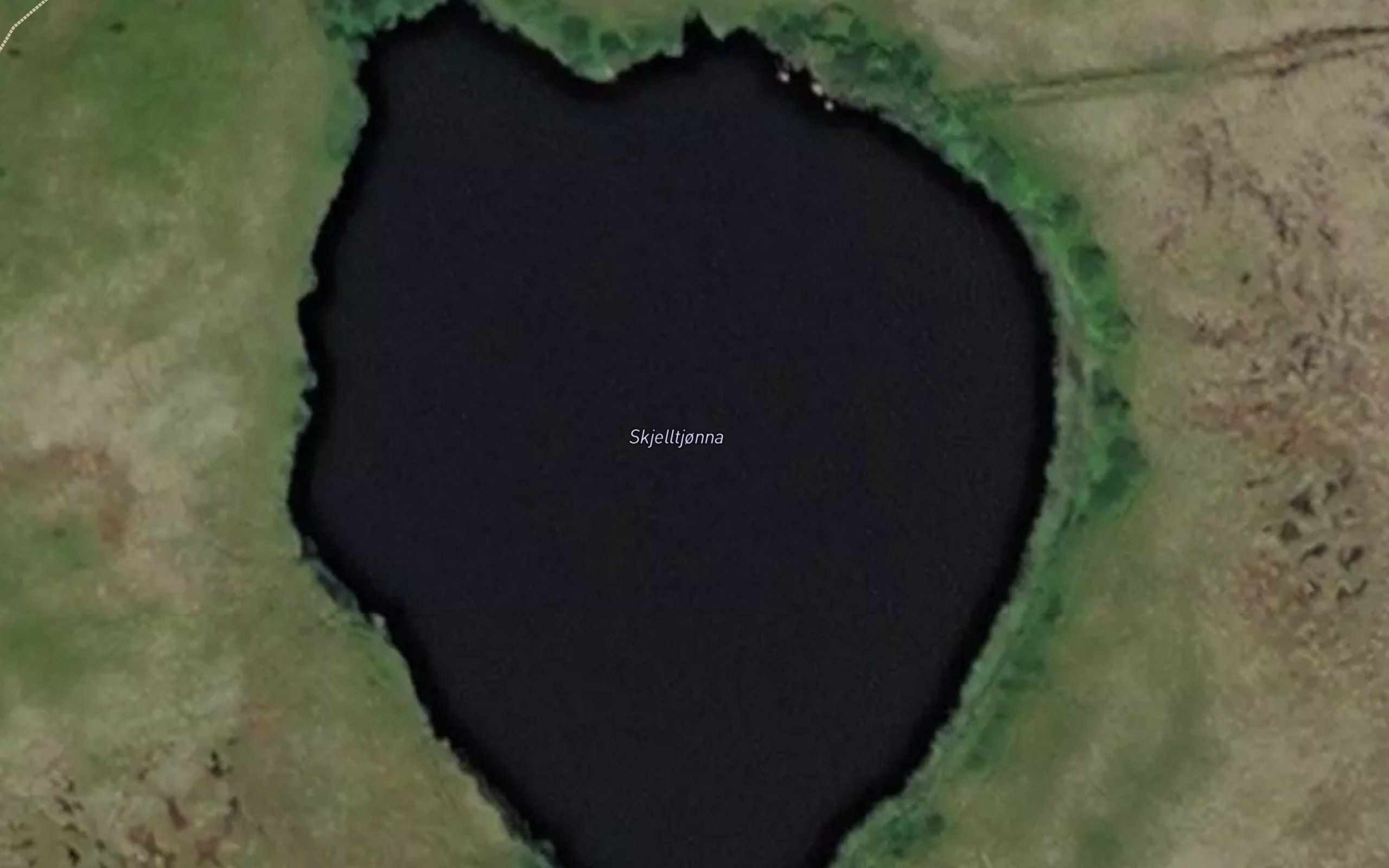 Skjelltjonna