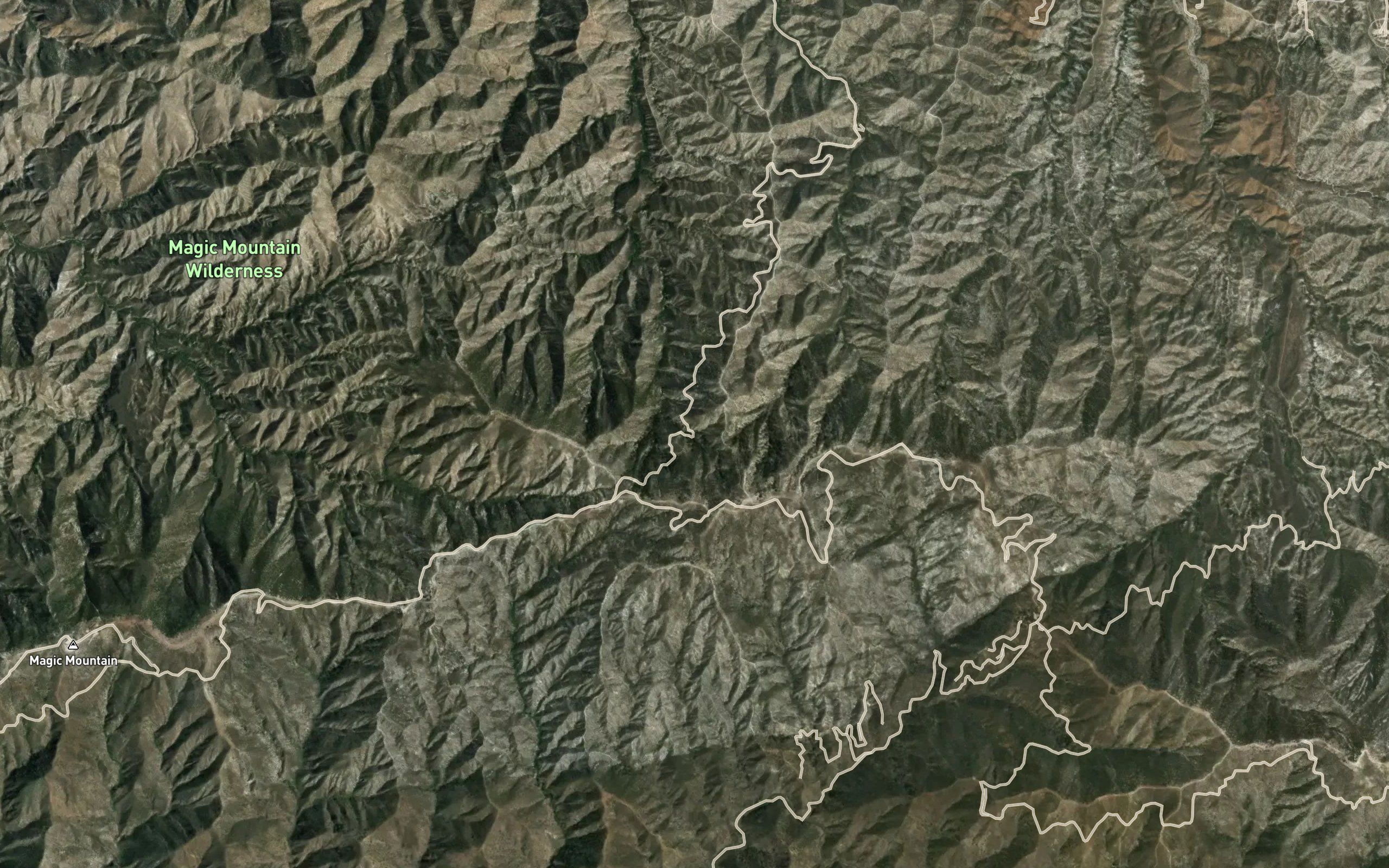 Quail Spring