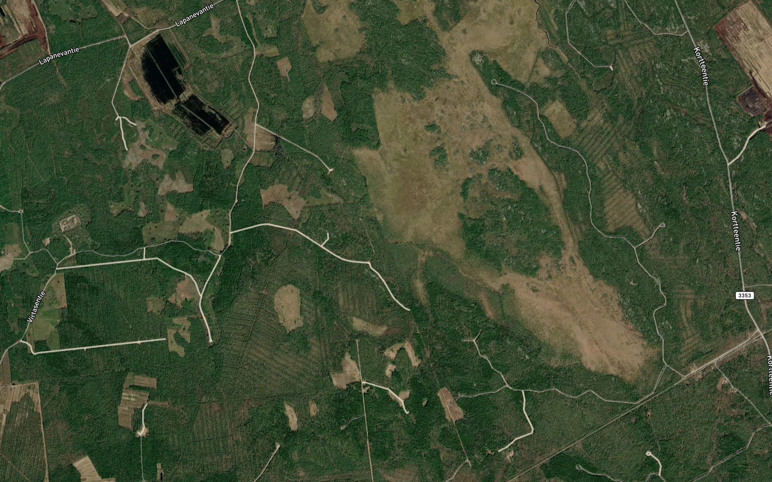 Koivukonnonluoma