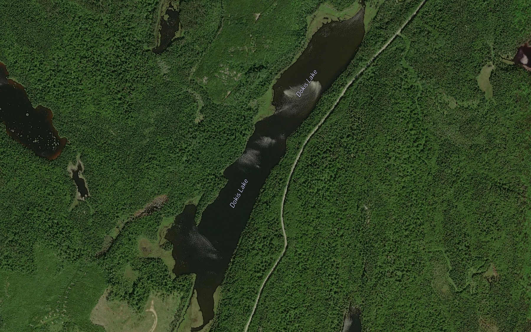 Satellite map of the Dokis Lake