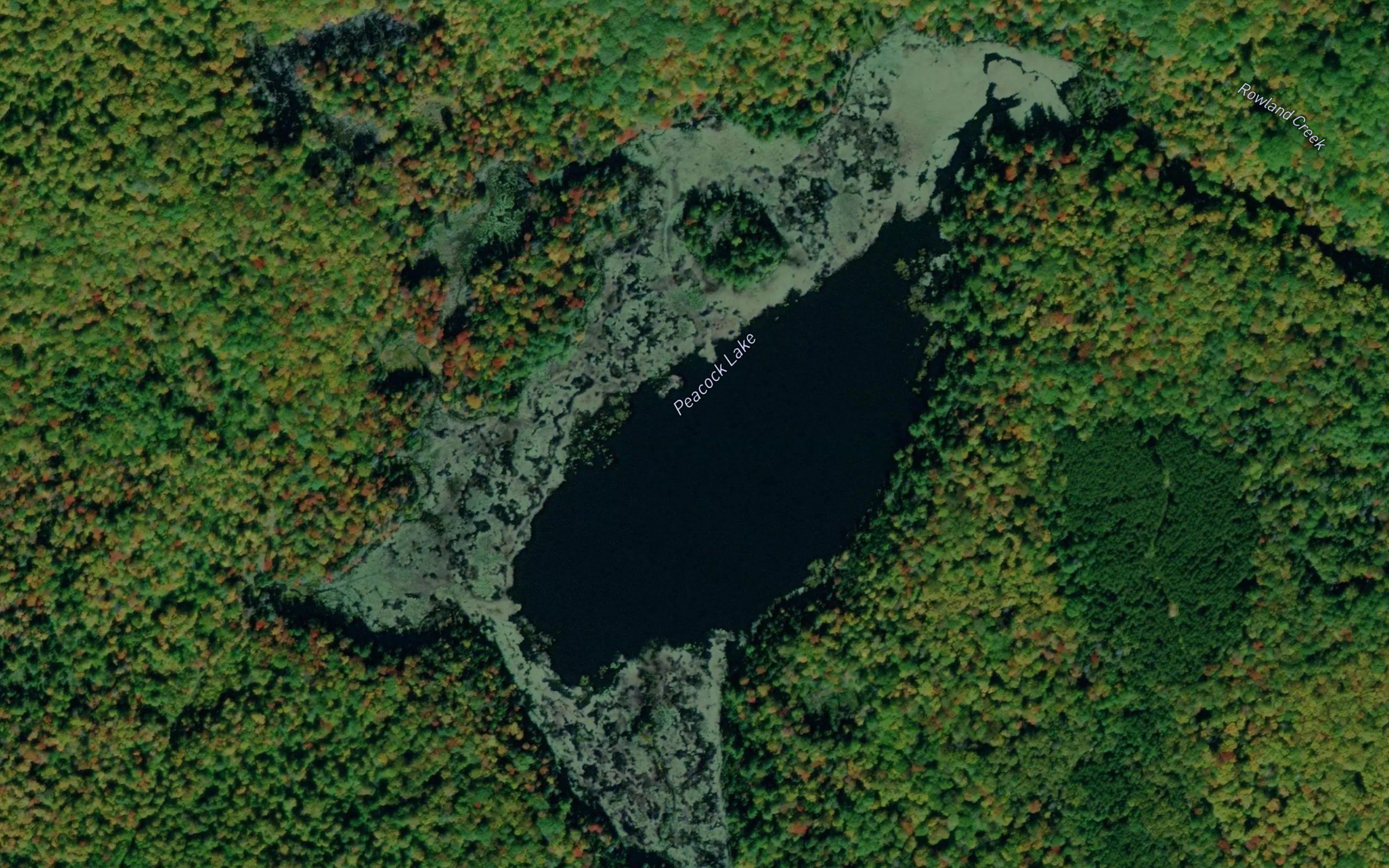 Peacock Lake