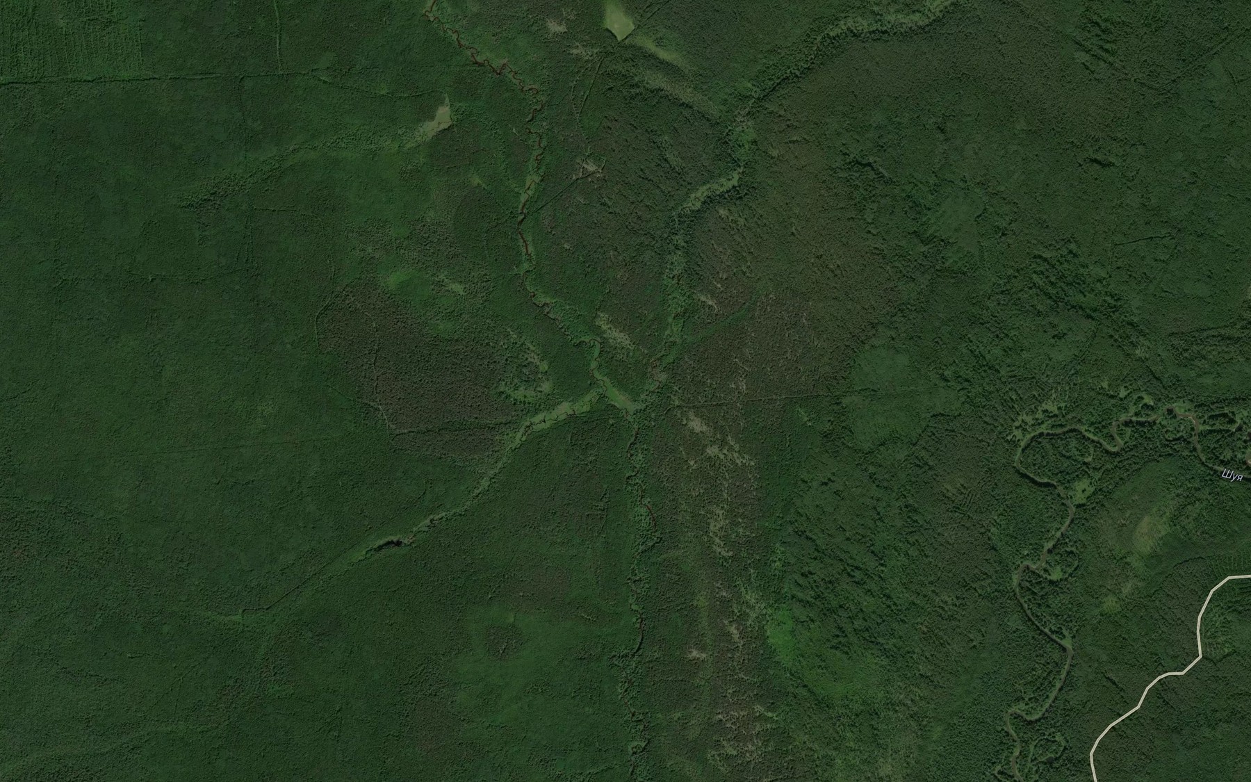 Satellite map of the Shokhma