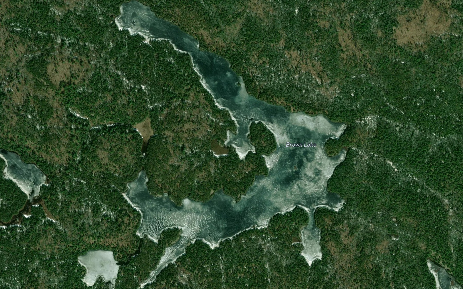 Satellite map of the Brown Lake